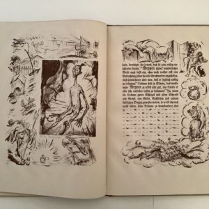 Gruner -   Meppen Bocksbart's nächtliches Floherlebnis und Traum.