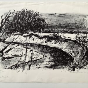 Fronius, Hans: -  Fluss im Winter