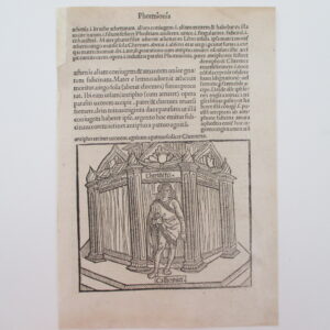 Incunable leaf -   Terenz (Publius Terentius Afer) -  Comoediae.