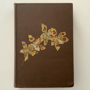 Stein, B. -  Stein's Orchideenbuch. Beschreibung, Abbildung und Kulturanweisung der empfehlenswertesten Arten.
