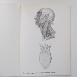 rühm, gerhard. -  betrachtungen des horizonts.